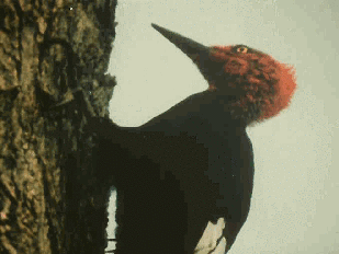 微信圖片_20241205165039.gif 微信圖片_20241205165039.gif